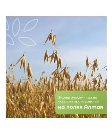 FooseedPlus Oats in the shell 10 kg for brewing - Buy Online on GoSupps.com