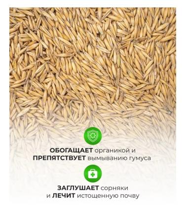 FooseedPlus Oats in the shell 10 kg for brewing - Buy Online on GoSupps.com