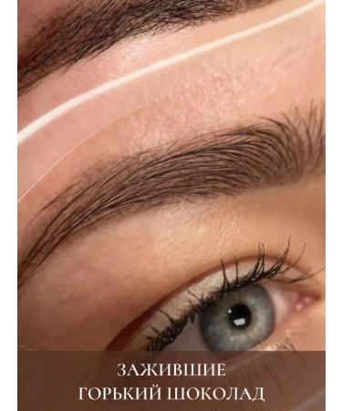 PigmentMax Gorky chocolate No. 5 Eyebrow pigment 15ml - Buy Online on GoSupps.com