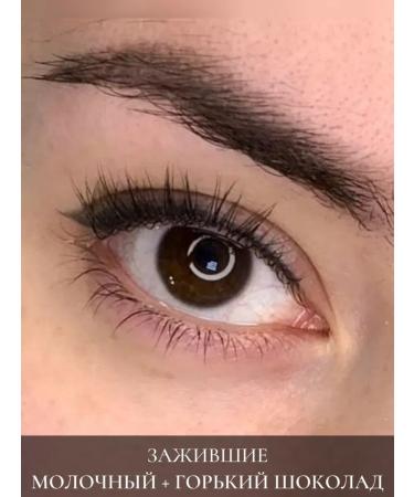 PigmentMax Gorky chocolate No. 5 Eyebrow pigment 15ml - Buy Online on GoSupps.com