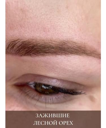 PigmentMax Hazelnut # 1 Pigment for eyebrows 15ml - Buy Online on GoSupps.com