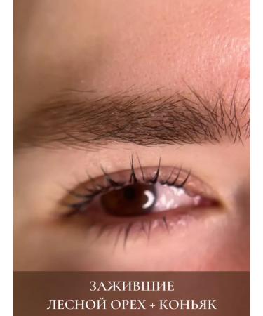 PigmentMax Hazelnut # 1 Pigment for eyebrows 15ml - Buy Online on GoSupps.com