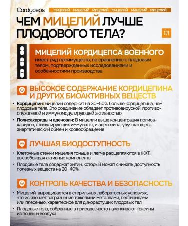  Cordyceps capsule 90 pieces of 700 mg - Buy Online on GoSupps.com