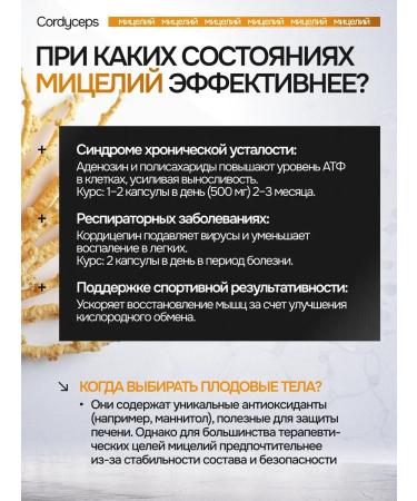  Cordyceps capsule 90 pieces of 700 mg - Buy Online on GoSupps.com