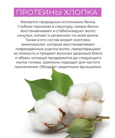 Kapous Professional Studio Shampoo for giving capacity 1000 ml - Buy Online on GoSupps.com