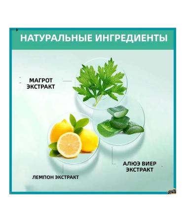 Antibacterial shower gel refreshing summer day - Buy Online on GoSupps.com