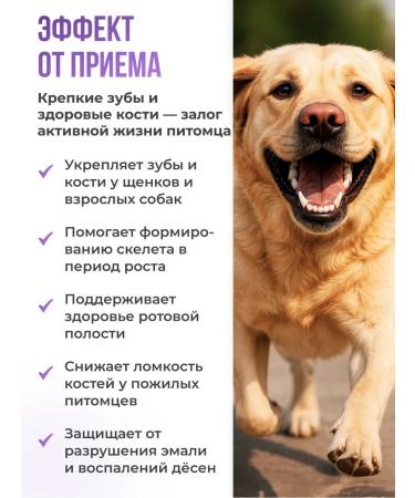 LAYTI Vitamins for teeth and bones of dogs - Buy Online on GoSupps.com