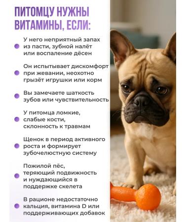 LAYTI Vitamins for teeth and bones of dogs - Buy Online on GoSupps.com