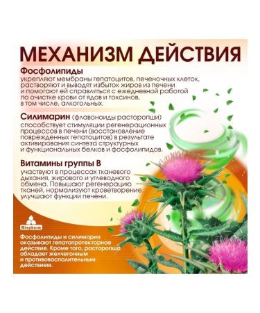 Miopharm Essfol Forte phospholipids for the liver - Buy Online on GoSupps.com