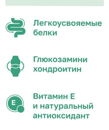 Organix Breeder for dogs with chicken fruits and vegetables 20 kg - Buy Online on GoSupps.com