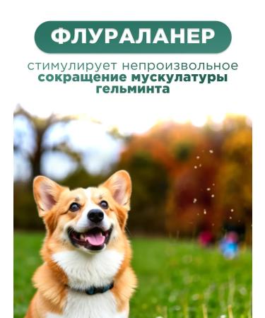 Apicenna Helmimax-10 for dogs of medium breeds 2 tab - Buy Online on GoSupps.com