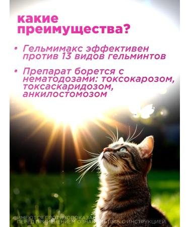 Apicenna Helmimax-4 for cats  - Buy Online on GoSupps.com