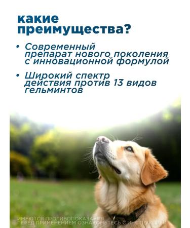 Apicenna Helmimax-20 for large dogs 2 packages - Buy Online on GoSupps.com