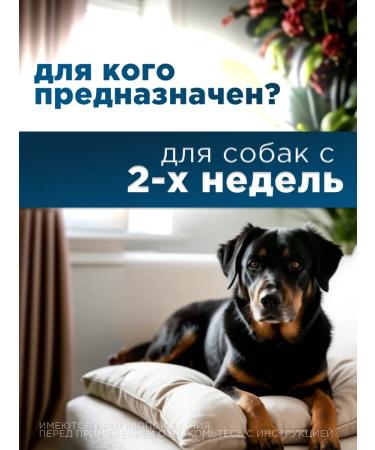 Apicenna Helmimax-20 for large dogs 2 packages - Buy Online on GoSupps.com