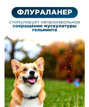 Apicenna Helmimax-20 for large dogs 2 packages - Buy Online on GoSupps.com