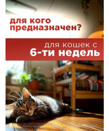 Apicenna Helmimax-10 for adult cats 2 packages - Buy Online on GoSupps.com