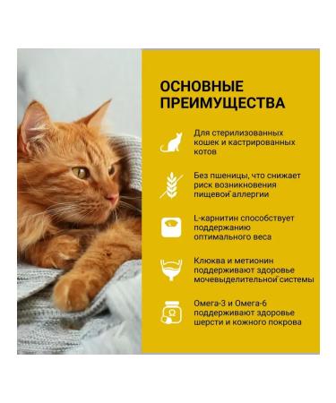 Wellkiss Dry food for sterilized cats with chicken 8 kg - Buy Online on GoSupps.com