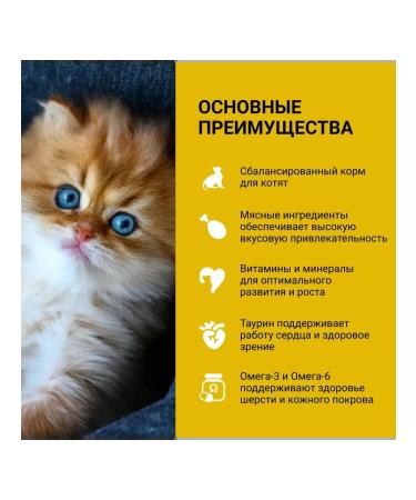 Wellkiss Dry food for kittens with chicken 1.5 kg - Buy Online on GoSupps.com