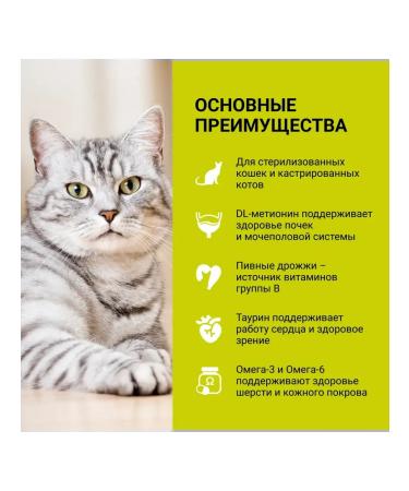 Wellkiss Dry food for sterilized cats with lamb 3 kg - Buy Online on GoSupps.com