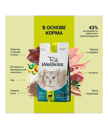 Wellkiss Dry food for sterilized cats with lamb 3 kg - Buy Online on GoSupps.com