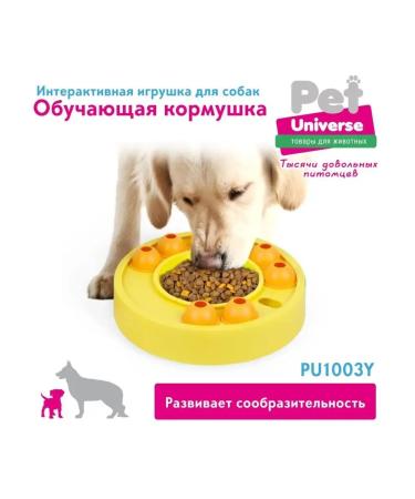 AnimafeederEdge dog feeder Pu1003