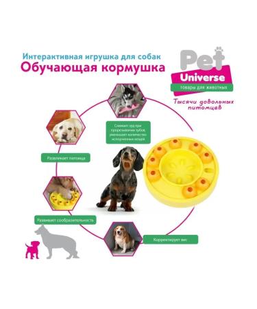 AnimafeederEdge dog feeder Pu1003 - Buy Online on GoSupps.com