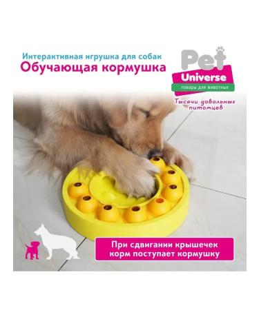 AnimafeederEdge dog feeder Pu1003 - Buy Online on GoSupps.com