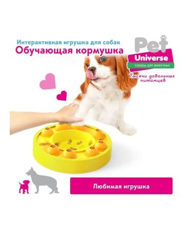 AnimafeederEdge dog feeder Pu1003 - Buy Online on GoSupps.com