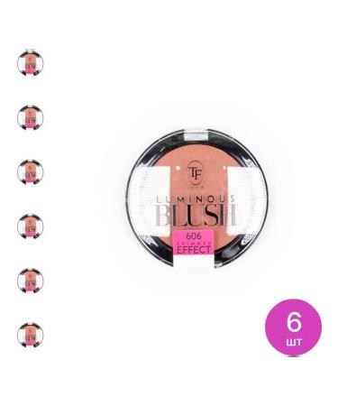 TF Cosmetics Triumph blush for face cream (set of 6 pcs)