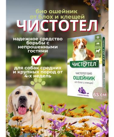 Bio collar from fleas and dogs for dogs