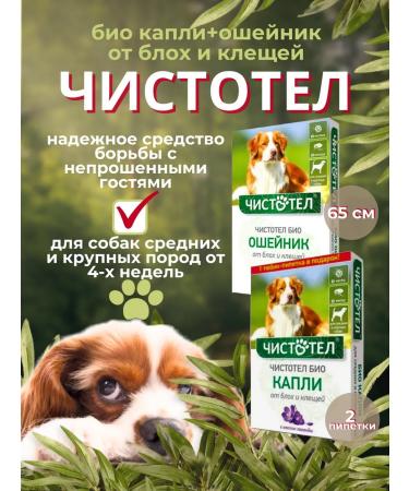 Set of celandine bio from fleas and ticks for dogs