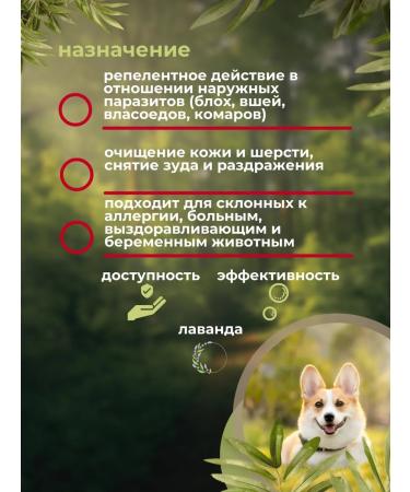 Set of celandine bio from fleas and ticks for dogs - Buy Online on GoSupps.com