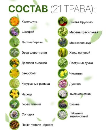 HerbafeeTech Herbs for the kidneys of herbal phytochai - Buy Online on GoSupps.com