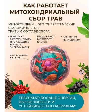 THE RIGHT HERBS Energy mitochondrial complex herbal tea - Buy Online on GoSupps.com