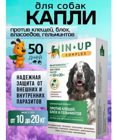 Astrapharm In-up for dogs complex