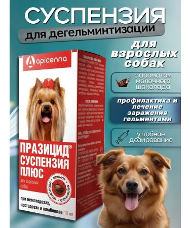 Apicenna Remedy for worms for dogs pusycide
