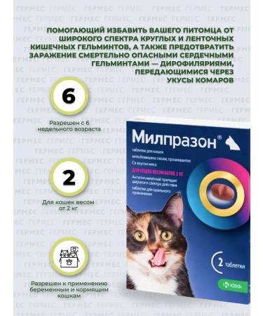 KRKA Milprazone for cats weighing 2 kg from helminths 2 tab - Buy Online on GoSupps.com