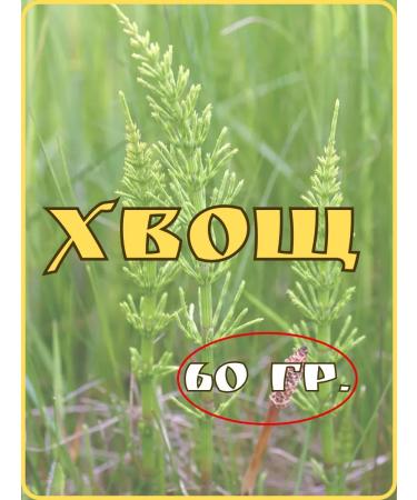 Herbs of Siberia Horsetail