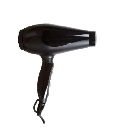 FanMax Professional Korto hair flan A6 up to 2400W - Buy Online on GoSupps.com