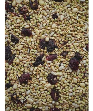 DrbreakfasMax Ready -made buckwheat breakfast 1 kg pine nuts and cranberries - Buy Online on GoSupps.com