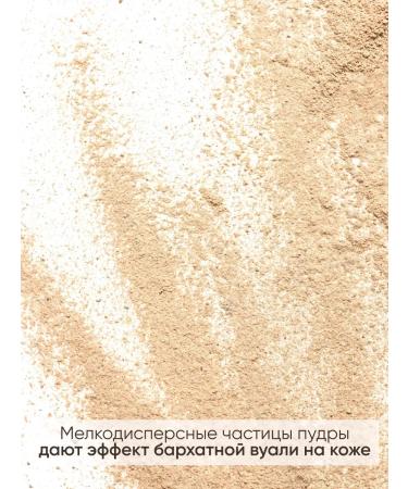 PowderMax Compact face powder matting satin tone 02 - Buy Online on GoSupps.com