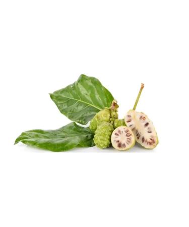 MilTech Body milk moisturizing ice mushroom extract 200ml - Buy Online on GoSupps.com