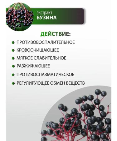 Altai traditions Bozins black extract - Buy Online on GoSupps.com