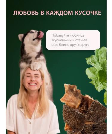 TiTBiT Beef shirt for dogs 500g - Buy Online on GoSupps.com