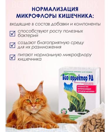Biocorrector Prebiot for cats to improve the gastrointestinal tract - Buy Online on GoSupps.com