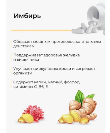 HAYAT Ginger is dry ground - Buy Online on GoSupps.com