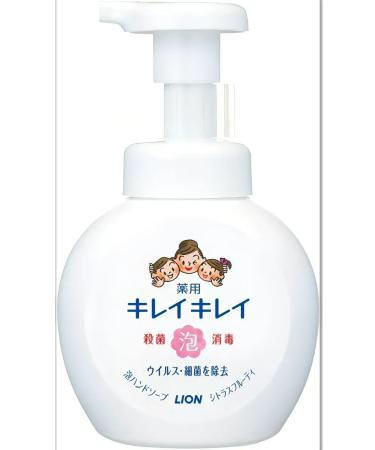LION Antibacterial hand soap
