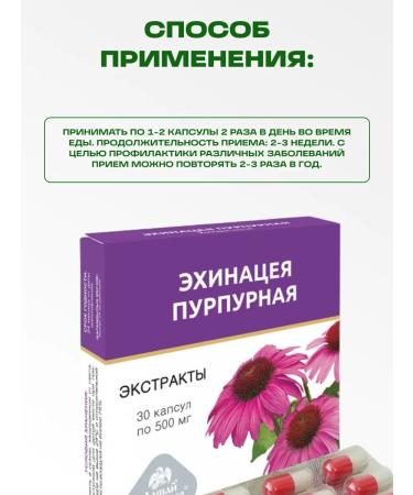 bee lab Echinacea extract Purple 30 caps - Buy Online on GoSupps.com