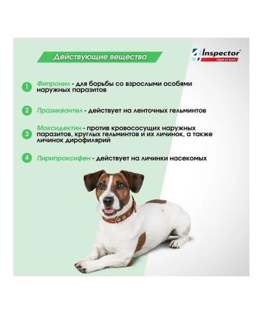Neoterica Inspector Drops for dogs for dogs from 4 to 10 kg 1 pc - Buy Online on GoSupps.com