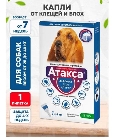 KRKA Attles drops from ticks dog fleas 25 - 40 kg 1 pipette